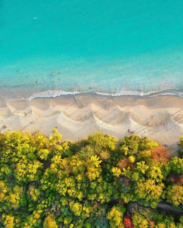 Somptueux Duplex Sur La Route Des Plages Sainte-Anne Zewnętrze zdjęcie